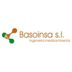 basoinsa