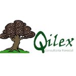 quilex