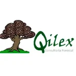 quilex