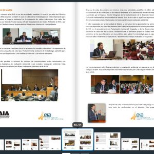 Memoria final VIII CONEIA