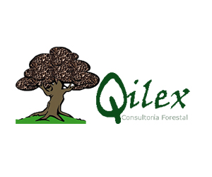 Quilex consultoría forestal